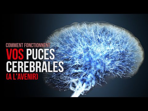 Comment fonctionnent les interfaces cerveau-ordinateur ? (Animation)