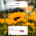 Technique des 3 likes Instagram : comment obtenir plus de likes sur Instagram gratuitement en 2023 Technique des 3 likes Instagram : comment obtenir plus de likes sur Instagram gratuitement en 2022
