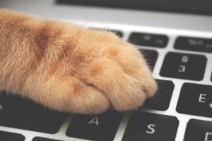 Tiret du 6 "-" : comment le trouver sur son clavier ?