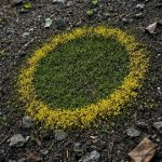 Applications anti-gaspillage : comment elles transforment nos poubelles Applications anti-gaspillage : comment elles transforment nos poubelles