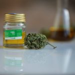 cannabis oil cbd